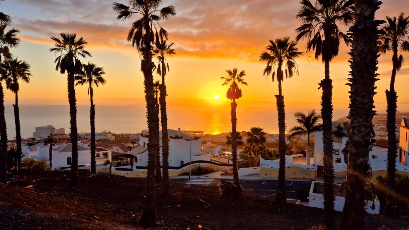 Costa Adeje Bungalow -Tenerife Dış mekan fotoğraf